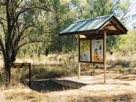 Charleville Self-Drive Itineraries - Accommodation Gladstone 0