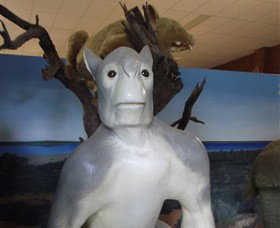 Wentworth Pioneer Museum - Accommodation Gladstone 4