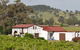 Bell River Estate Winery - thumb 6