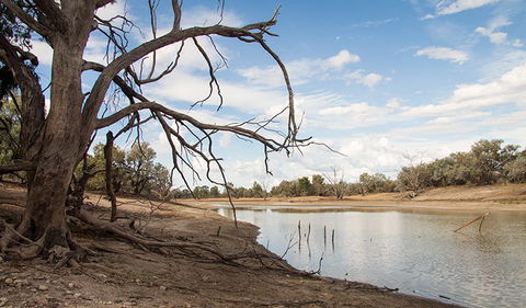 Toorale National Park - Accommodation Gladstone 0