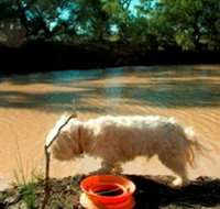 Charleville - 27 Mile Warrego River Fishing Spot - Accommodation Gladstone