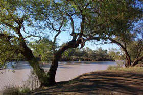 Charleville - 27 Mile Warrego River Fishing Spot - Accommodation Gladstone 4