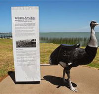 Birdman of the Coorong - Accommodation Gladstone