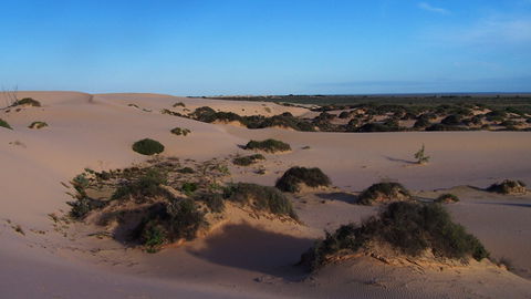 Mungo National Park - Accommodation Gladstone 2