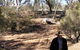 Augathella 4x4 Stock Route Trail - thumb 1