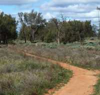 Grasslands Nature trail - Accommodation Gladstone