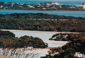 Coorong National Park - Accommodation Gladstone 2