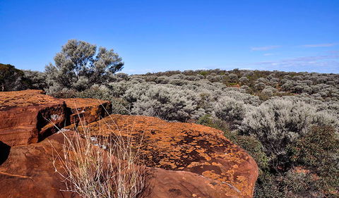 Mount Grenfell Historic Site - Accommodation Gladstone 0
