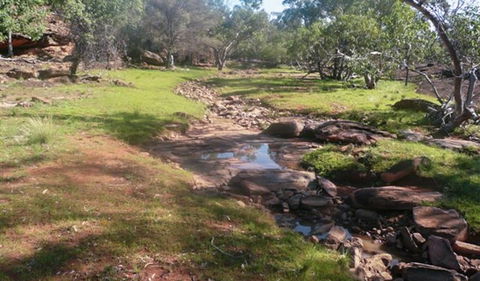 Mount Grenfell Historic Site - Accommodation Gladstone 3