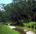 Salvator Rosa Section - Carnarvon National Park