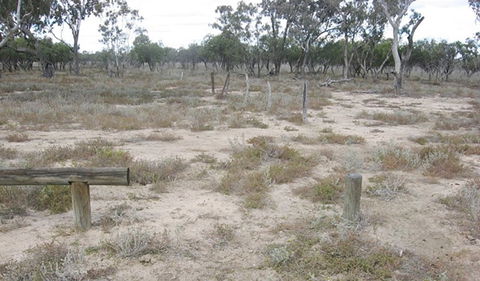 Culgoa Connellys Track - Accommodation Gladstone 0