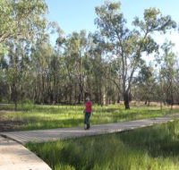 Ben Scott Memorial Bird Trail - Accommodation Gladstone