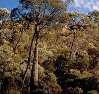 Ka Ka Mundi Carnarvon National Park - Accommodation Gladstone