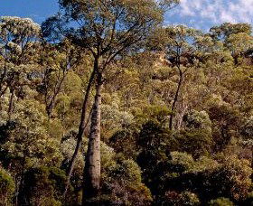 Ka Ka Mundi, Carnarvon National Park - Accommodation Gladstone 0