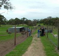 Avenue Emus - Accommodation Gladstone