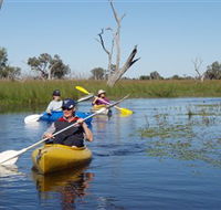 Marsh Meanders - Accommodation Gladstone