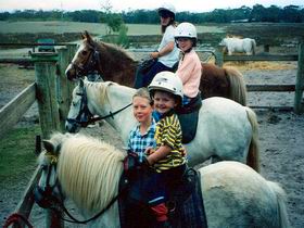 Limestone Coast Horseriding - Accommodation Gladstone 1