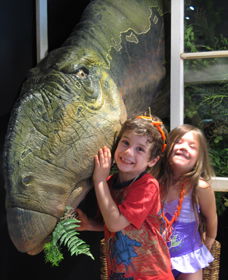 Australian Opal Centre - Accommodation Gladstone 0