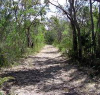 Lanky's Walk - Accommodation Gladstone