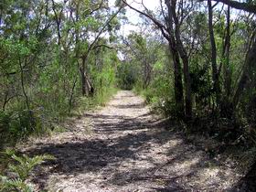Lanky's Walk - Accommodation Gladstone 0