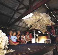 Shear Outback the Australian Shearers Hall of Fame - Accommodation Gladstone