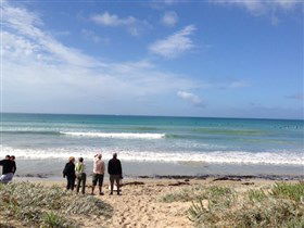 Beachport Surf Beach - Accommodation Gladstone 2