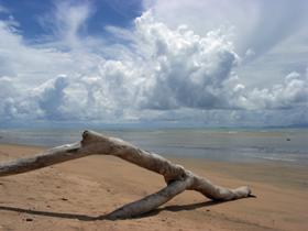 Toolakea Beach - Accommodation Gladstone 0