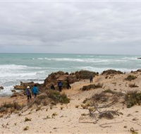 The Seaview Walking Trail - Accommodation Gladstone