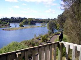 Lake McIntyre - Accommodation Gladstone 0