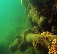 Wreck Diving at Magnetic Island - Accommodation Gladstone