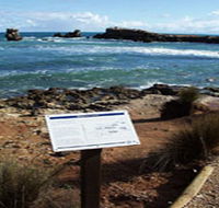 Cape Buffon Walking Trail - Accommodation Gladstone