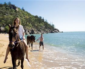 Horseshoe Bay - Accommodation Gladstone 1