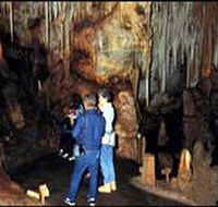 Tantanoola Caves Conservation Park - Accommodation Gladstone