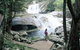 Josephine Falls, Wooroonooran National Park - thumb 0