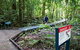 Josephine Falls, Wooroonooran National Park - thumb 2