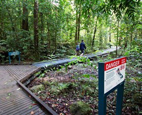 Josephine Falls, Wooroonooran National Park - Accommodation Gladstone 2