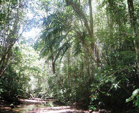 Julatten QLD Accommodation Gladstone