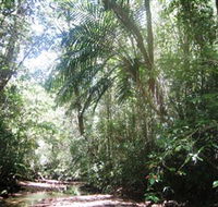 Mount Lewis National Park - Accommodation Gladstone