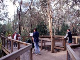 Valley Lake Conservation Park - Accommodation Gladstone 1
