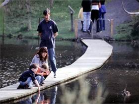 Valley Lake Conservation Park - Accommodation Gladstone 2