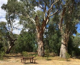 Bob Christensen Reserve - Accommodation Gladstone 2