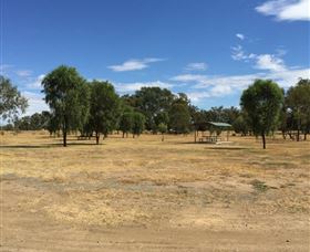 Bob Christensen Reserve - Accommodation Gladstone 1