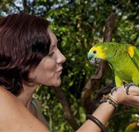 Birdworld Kuranda - Accommodation Gladstone