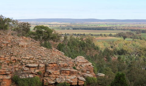 Jacks Creek Walking Track - Accommodation Gladstone 0