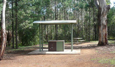 Jacks Creek Walking Track - Accommodation Gladstone 1