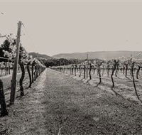 Halls Gap Estate - Accommodation Gladstone
