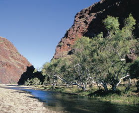 Coppin Gap - Accommodation Gladstone 0