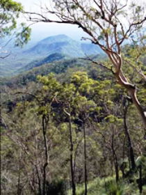 Dalrymple Heights QLD Accommodation Gladstone