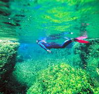 Piccaninnie Ponds Conservation Park - Accommodation Gladstone