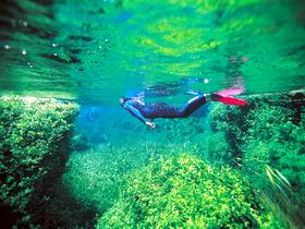 Piccaninnie Ponds Conservation Park - Accommodation Gladstone 0